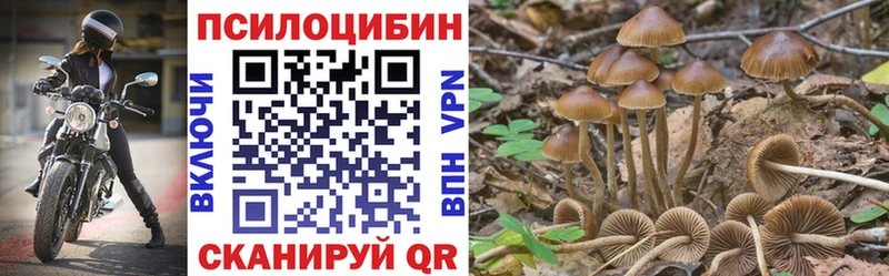 Галлюциногенные грибы Psilocybe  Купить закладки  Новая Ляля 